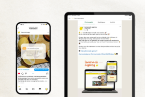 Comptes Instagram et LinkedIn Lemonade agency